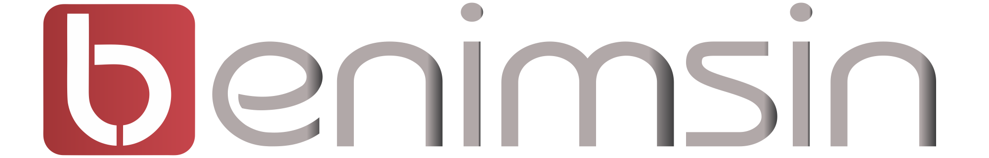 BenimSin.Net Logo